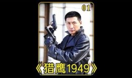 电视剧猎鹰1949全集在线观看免费,揭秘抗战时期传奇猎鹰队的英勇事迹
