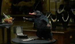 10月神奇动物爆料视频,神秘生物齐聚，奇幻世界再掀热潮