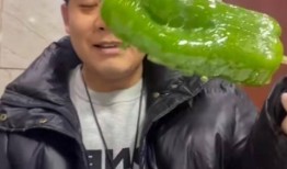 山西吃瓜事件网红视频,网红视频揭秘当地风俗争议