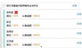 吉林市盈盛最新爆料,揭秘盈盛发展背后的惊人真相！